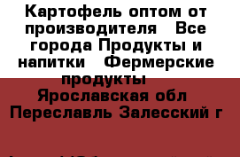 Картофель оптом от производителя - Все города Продукты и напитки » Фермерские продукты   . Ярославская обл.,Переславль-Залесский г.